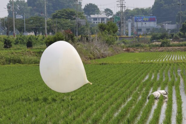 north-korea-sent-trash-balloons-to-south-korea