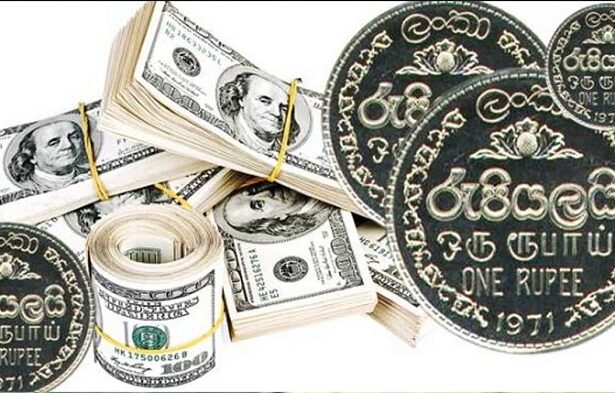 Dollar rate in Sri Lanka today