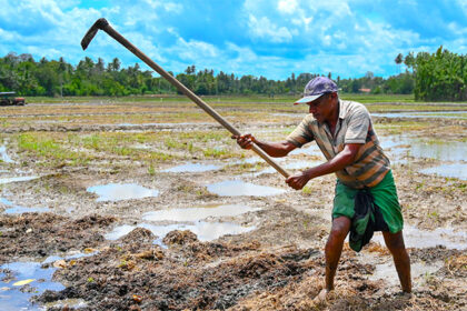 Sri lanka farmers complain about illegal activities by commissioner