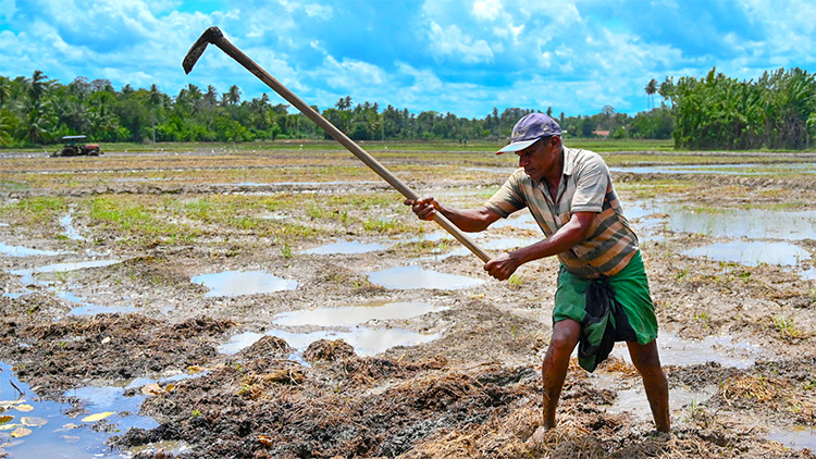 Sri lanka farmers complain about illegal activities by commissioner
