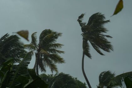 High risk rain alert for 7 districts
