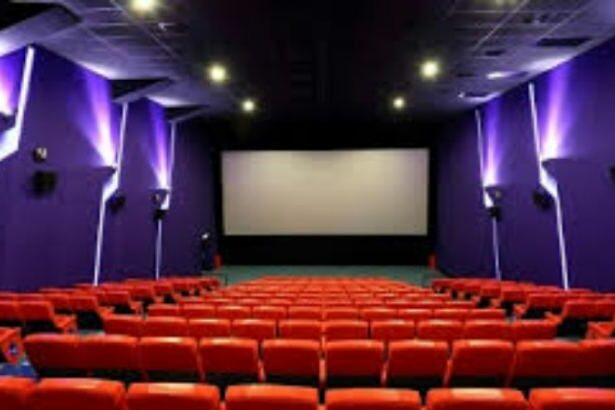 SL film directors want smartphone ban inside theatres