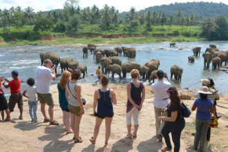 More than 85000 tourists came to sri lanka in month of july