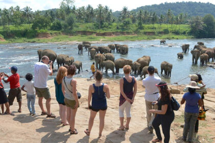 More than 85000 tourists came to sri lanka in month of july
