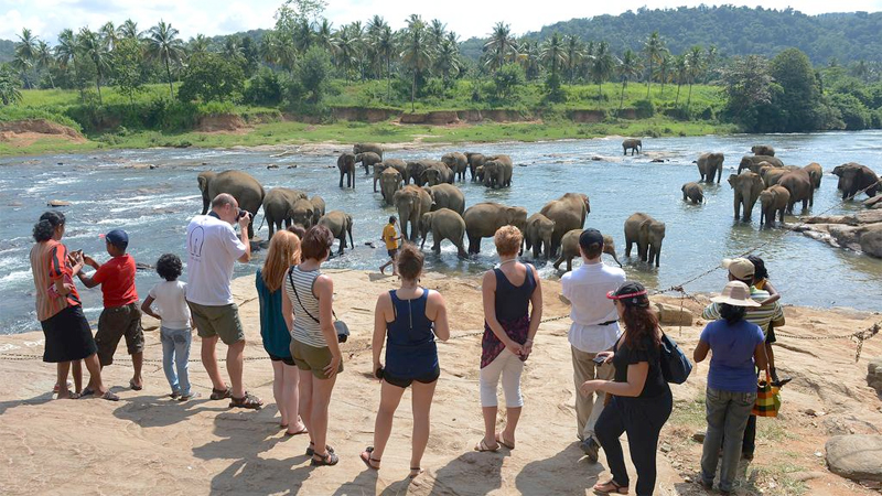 More than 85000 tourists came to sri lanka in month of july